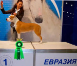 foto228040