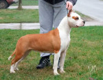 foto227843
