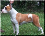 foto221457